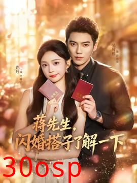 蒋先生，闪婚搭子了解一下