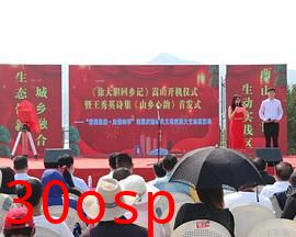 徐大胆回乡记