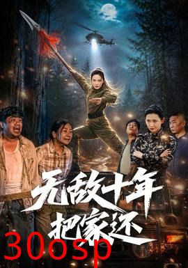 无敌十年把家还