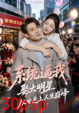 系统逼我娶大明星，从此走上人生巅峰
