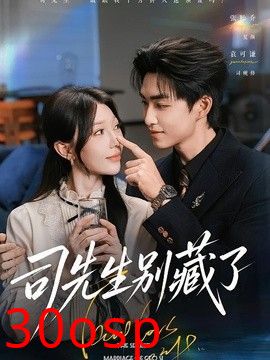 司先生别藏了