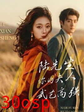 陆先生，你的夫人武艺高强