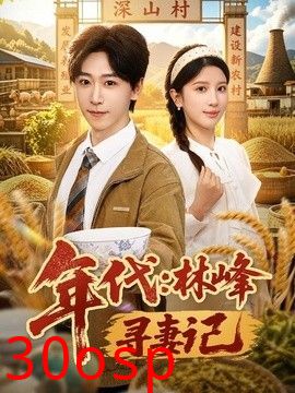 年代：林峰寻妻记