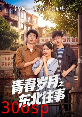 青春岁月之东北往事
