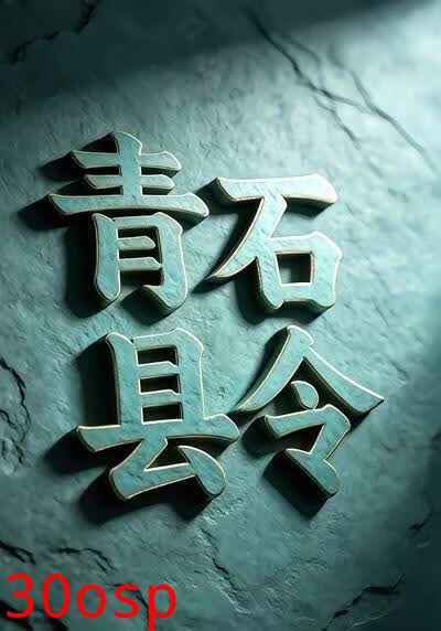 青石县令5