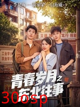 青春岁月之东北往事