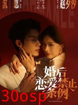 婚后恋爱禁止条例