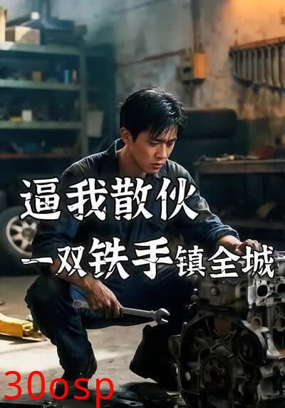 逼我散伙一双铁手镇全城