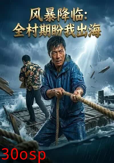 风暴降临：全村期盼我出海