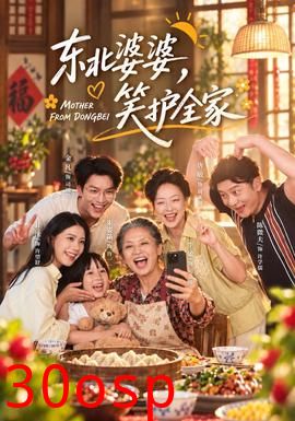 东北婆婆，笑护全家