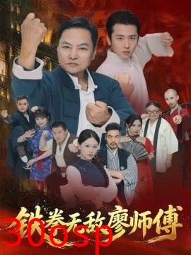 铁拳无敌廖师傅