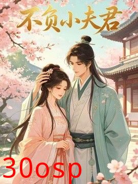不负小夫君