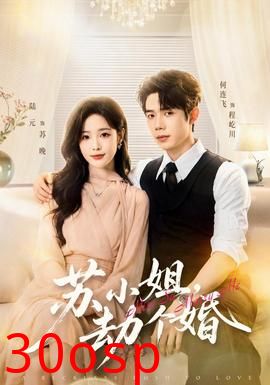 苏小姐，劫个婚