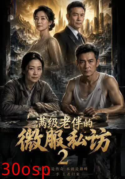 满级老伴的微服私访2
