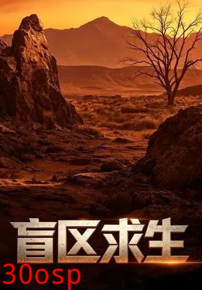 盲区求生