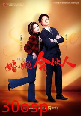 回归之婚姻合伙人