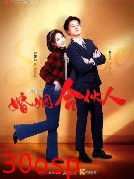 回归之婚姻合伙人
