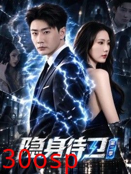 隐身侍卫第二季