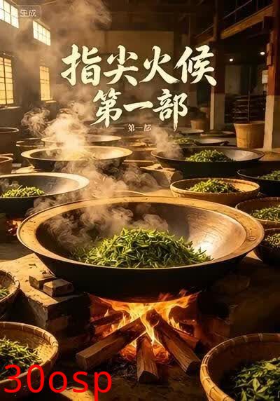 指尖火候第一部