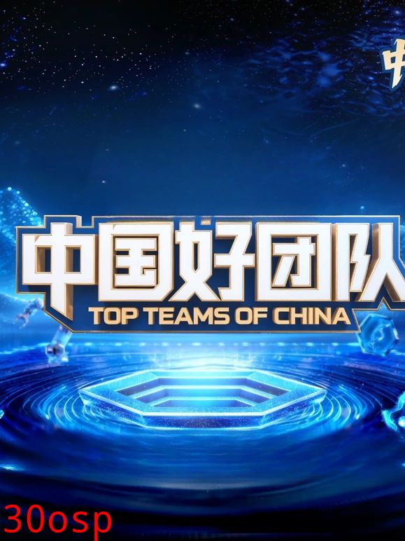中国好团队