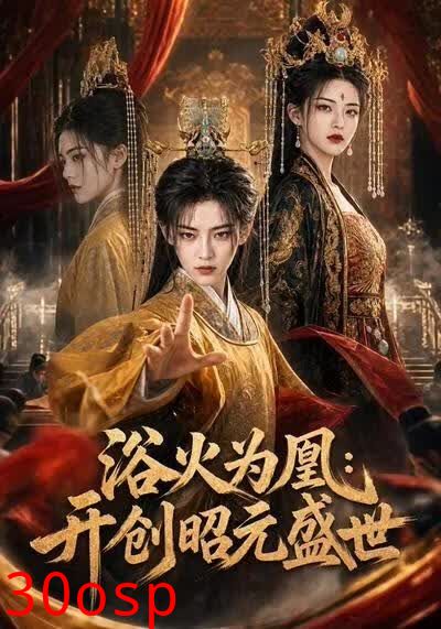 浴火为凰：开创昭元盛世