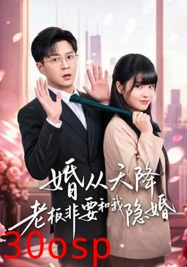 婚从天降老板非要和我隐婚