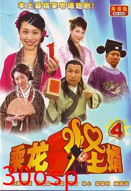 乘龙怪婿第四季