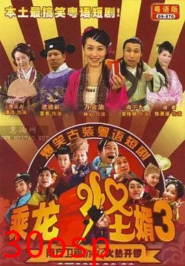 乘龙怪婿第三季