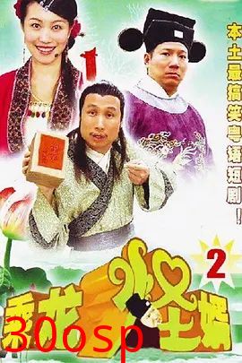乘龙怪婿第二季