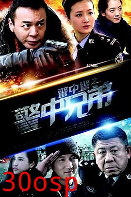 警中警之警中兄弟