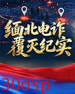 缅北电诈覆灭纪实