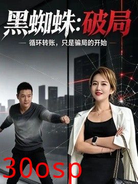 黑蜘蛛：破局