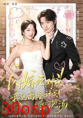 闪婚死对头，我的离婚计划全泡汤