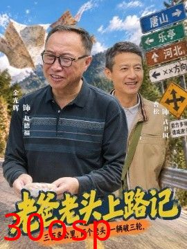老爸老头上路记