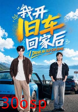 我开旧车回家后