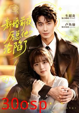新婚前夜，厉总他沦陷了