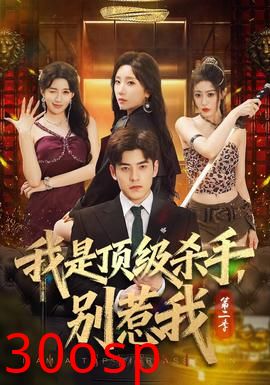 我是顶级杀手，别惹我第二季