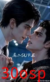 属二sure