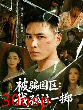 被骗园区：我孤注一掷 我被骗到缅北的那些年