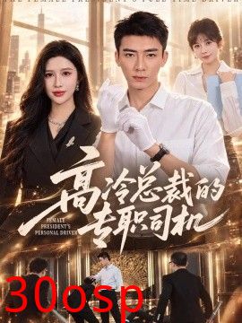 高冷总裁的专职司机