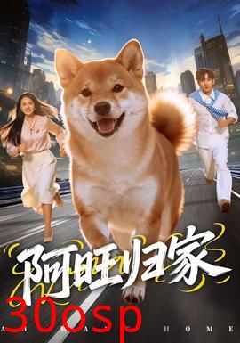 阿旺归家